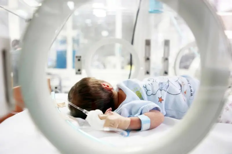 更健康?科学对比试管婴儿和自然受孕婴儿